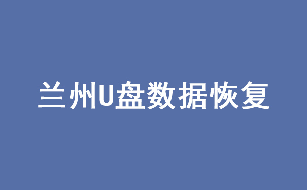 蘭州優(yōu)盤數(shù)據(jù)恢復(fù)公司