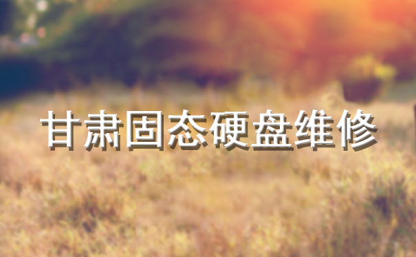 甘肅固態(tài)硬盤維修