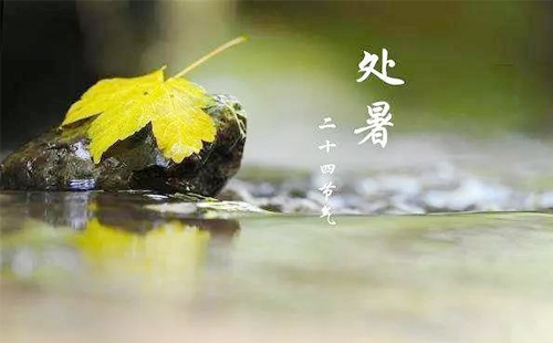處暑已至丨鵬展科技守護您的數(shù)據(jù)安全，助您穩(wěn)健前行.jpg
