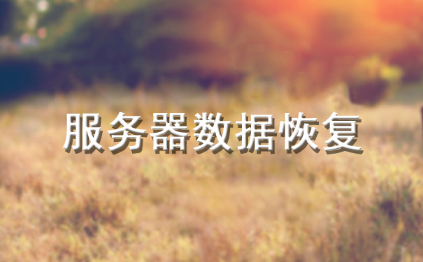 甘肅服務器數(shù)據(jù)恢復公司.jpg